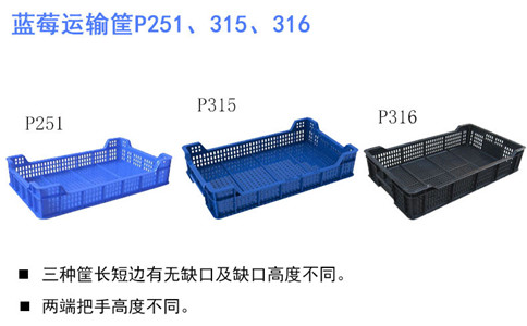 營(yíng)口塑料筐型號,藍莓筐新款-沈陽(yáng)興隆瑞