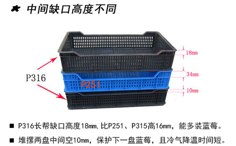 沈陽(yáng)水果塑料筐重量,好用周轉筐-沈陽(yáng)興隆瑞